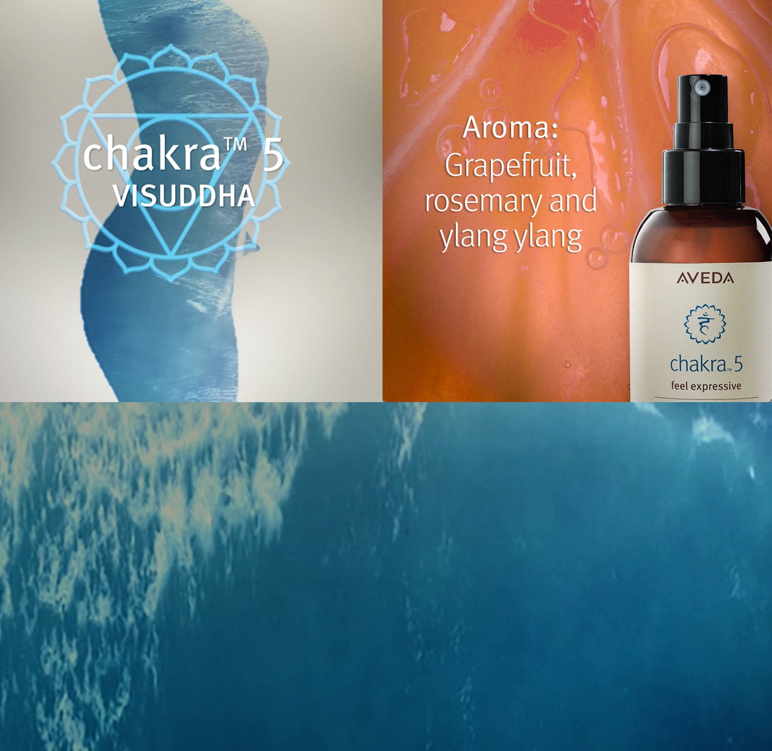 Chakra 5 aroma includesgrapefruit, rosemary and ylang ylang