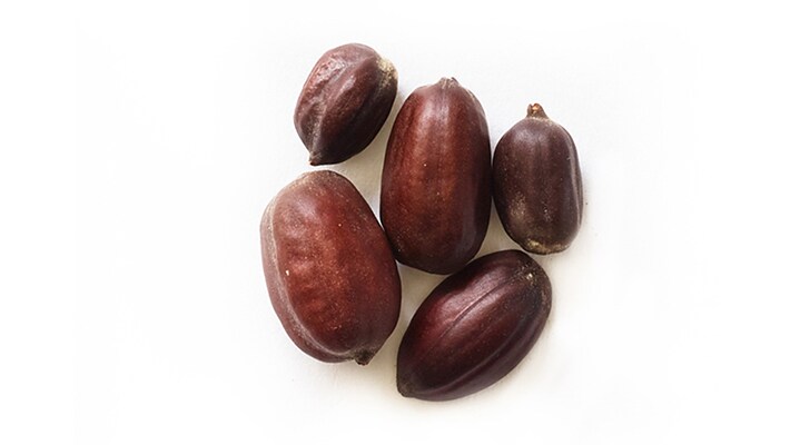 HYDROLYYZED JOJOBA ESTERS