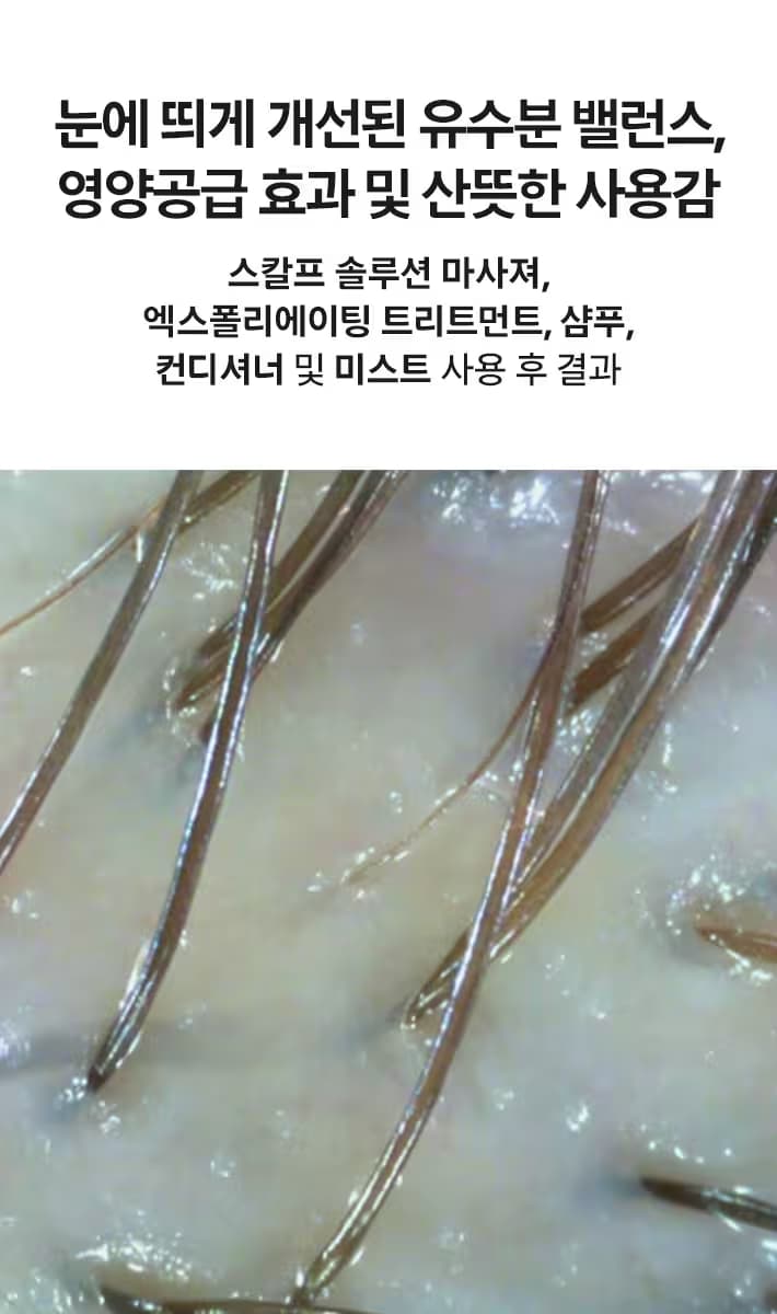 SS BALANCING SHAM & REPLEN COND 200ML + 200ML SET